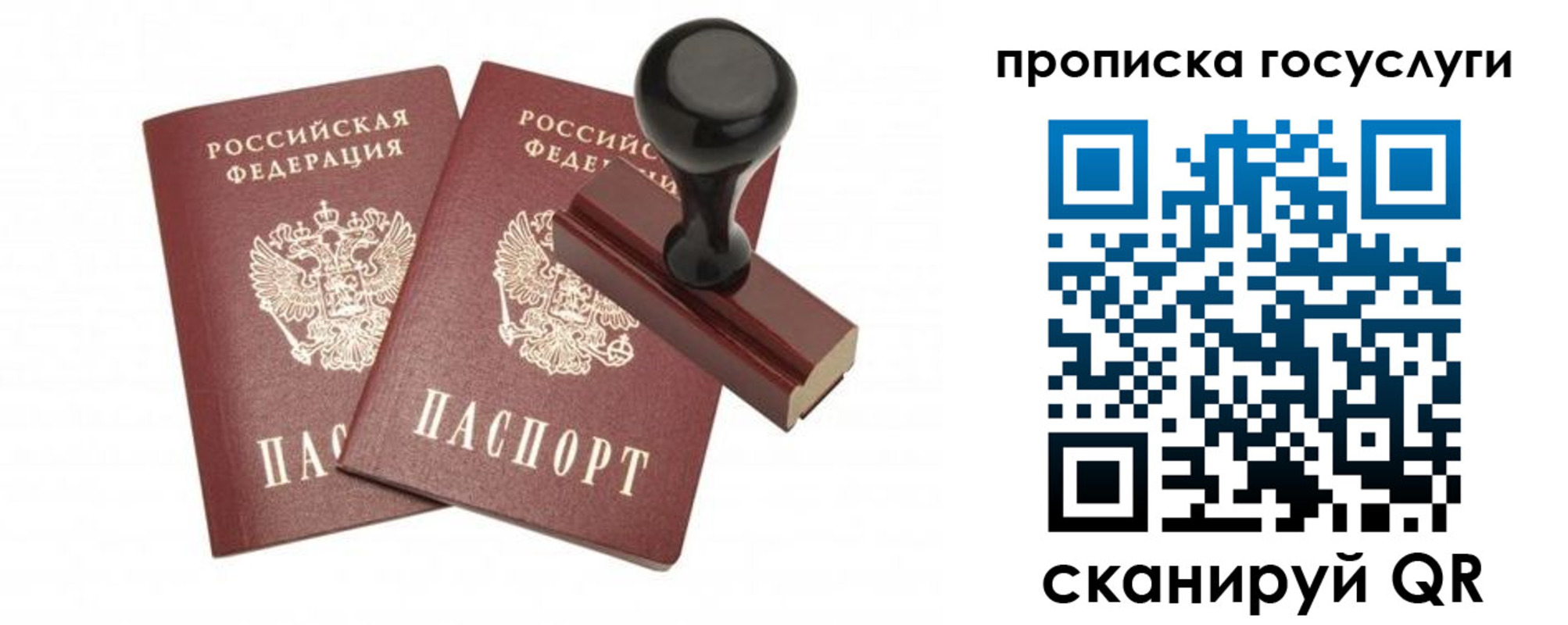 временная регистрация адрес в Петропавловске-Камчатском